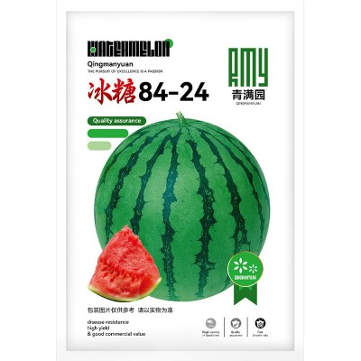 批发早佳8424麒麟美都西瓜种籽四季盆栽甜西瓜春季水果种子公司图5
