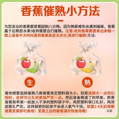 高山甜香蕉新鲜水果9斤当季现摘芭蕉小米蕉大香焦绿批发整箱5包邮图3