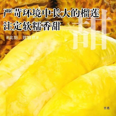 正宗泰国树上熟金枕榴莲带壳熟新鲜香甜软糯一整个孕妇水果整箱发图5