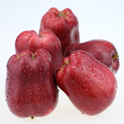 天水花牛苹果新鲜水果宝宝辅食蛇果香甜粉一件代发图2