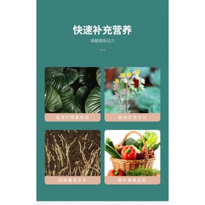 进口花多多一二号水溶肥氮磷钾绿植多肉兰花通用型速溶肥料专用肥图5