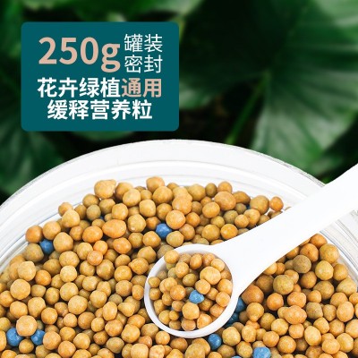 进口园艺四季通用奥绿缓释肥颗粒月季多肉植物肥料家用微量元素图4