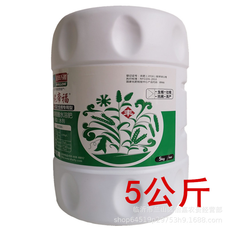 施6.jpg