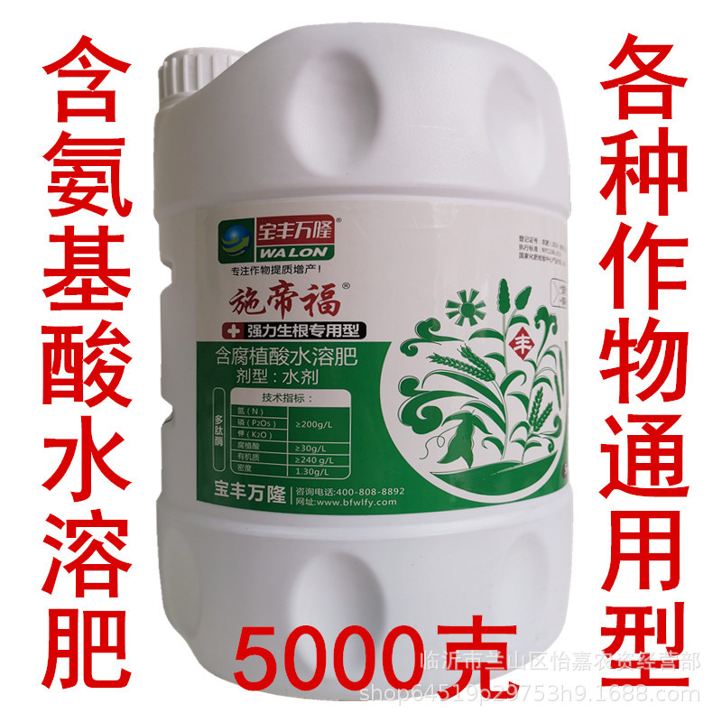 施13.jpg