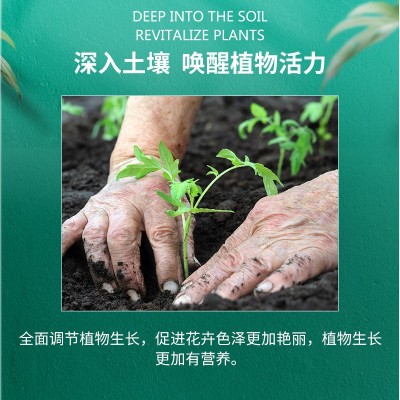 广州批发内蒙古纯羊粪基肥果蔬绿植土壤增肥腐熟发酵纯羊粪有机肥图4