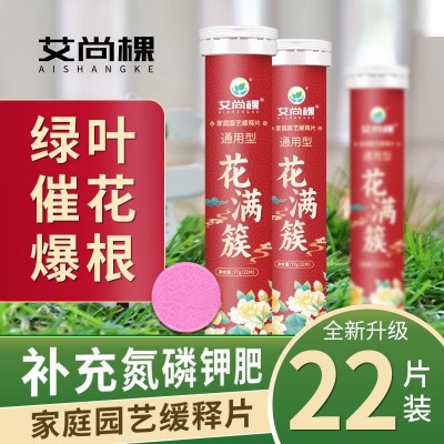 家用植物缓释肥通用型氮磷钾缓释片室内盆栽绿植花卉有机肥料批发图3