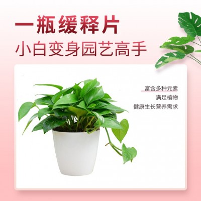 家用植物缓释肥通用型氮磷钾缓释片室内盆栽绿植花卉有机肥料批发图4