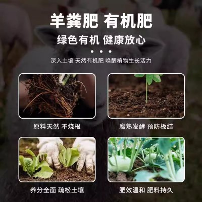 羊粪发酵有机肥蔬菜专用种地腐熟羊粪肥种菜养花通用农家肥 料鸡粪图4
