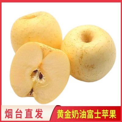 山东烟台黄金奶油富士苹果当季整箱5/10斤礼盒装奶油苹果新鲜水果图3