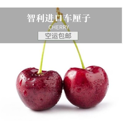 智利现货空运车厘子新鲜应季礼盒樱桃黑珍珠批发包邮工厂一件批发图3
