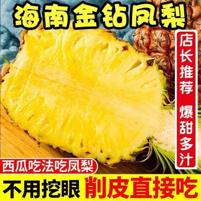 爆甜脆多汁海南金钻凤梨批发手撕爆甜菠萝批发大菠萝新鲜水果代发图3