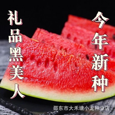 正宗黑美人西瓜种子 新品种黑皮红瓤易种植种子农家田园水果种籽图2