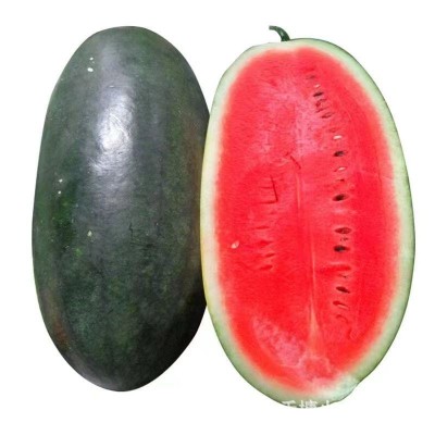 正宗黑美人西瓜种子 新品种黑皮红瓤易种植种子农家田园水果种籽图5