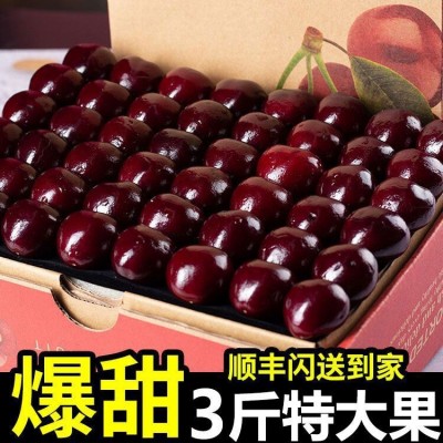 智利车厘子5斤礼盒整箱特大果批发价顺丰包邮新鲜水果批發图2