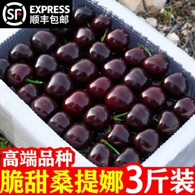 智利车厘子桑提娜美早大樱桃黑珍珠孕妇水果礼盒整箱新鲜水果批發图2