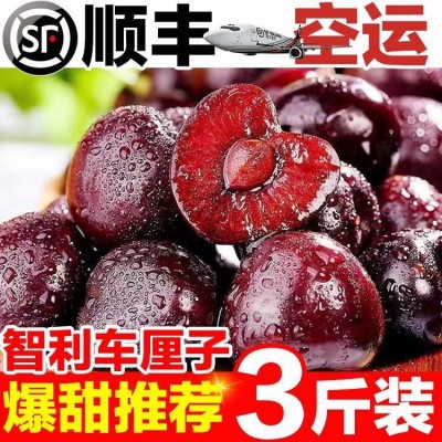 智利车厘子桑提娜美早大樱桃黑珍珠孕妇水果礼盒整箱新鲜水果批發图3