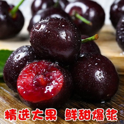 顺丰智利车厘子新鲜水果大樱桃孕妇3j桑提娜4黑珍珠应季水果批發图4