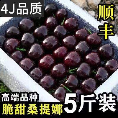 顺丰智利车厘子新鲜水果大樱桃孕妇3j桑提娜4黑珍珠应季水果批發图2