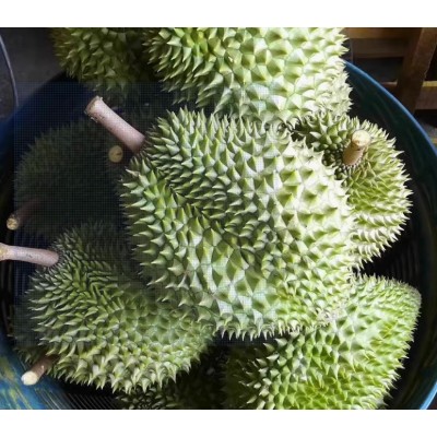 越南干尧A果(整箱8kg）图4