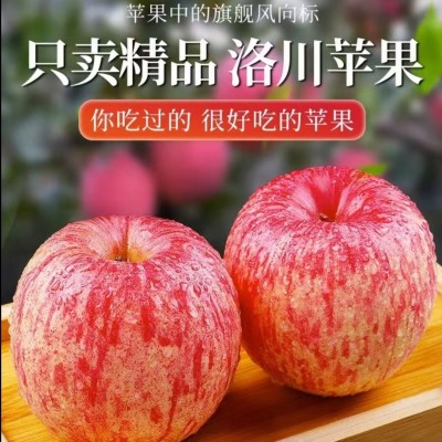 【洛川苹果】正宗陕西洛川红富士苹果5斤脆甜糖心果（产地直发）图2