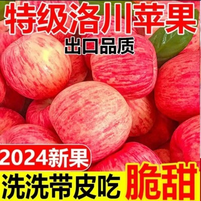 【洛川苹果】正宗陕西洛川红富士苹果10斤脆甜糖心果（产地直发）图2
