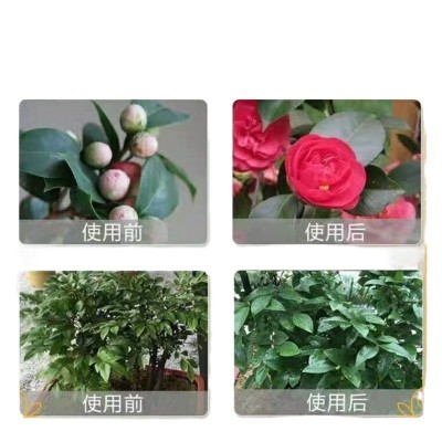 复合肥复肥尿素磷肥钾肥花肥料花卉盆栽蔬菜化肥型氮磷钾批发厂家图5