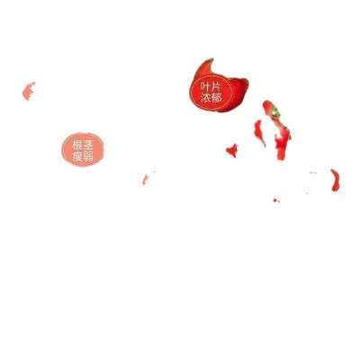 复合肥复肥尿素磷肥钾肥花肥料花卉盆栽蔬菜化肥型氮磷钾批发厂家图4