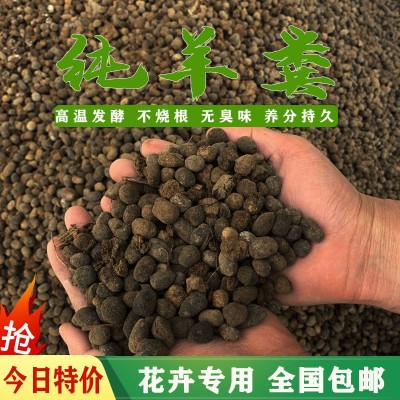 纯羊粪发酵颗粒肥料养花种菜花卉蔬菜果树盆栽家用型有机肥包邮图4