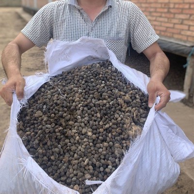 纯羊粪发酵颗粒肥料养花种菜花卉蔬菜果树盆栽家用型有机肥包邮图2