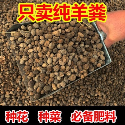 纯羊粪发酵颗粒肥料养花种菜花卉蔬菜果树盆栽家用型有机肥包邮图3
