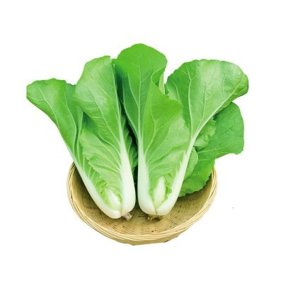速生快菜种子20天小白菜春夏秋四季播阳台蔬菜籽耐热早熟蔬菜种孑图5