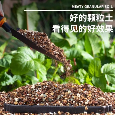 多肉营养土颗粒专用种植栽培土养花通用型泥炭花土铺面石扦插植物图3