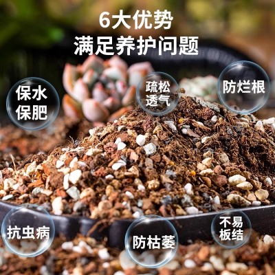 多肉营养土颗粒专用种植栽培土养花通用型泥炭花土铺面石扦插植物图2