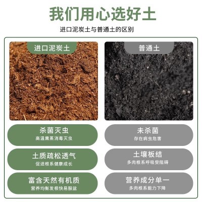 多肉营养土颗粒专用种植栽培土养花通用型泥炭花土铺面石扦插植物图4