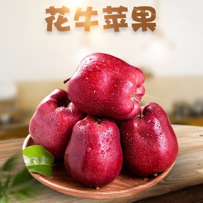 新果甘肃花牛苹果 代发3/9斤新鲜国产红蛇果粉糯红富士时令水果图2
