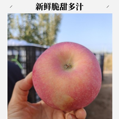 正宗阿克苏红富士丑苹果新疆产地直发脆甜多汁新鲜采摘水果整箱图2