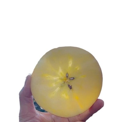 新疆阿克苏冰糖心苹果产地直发新鲜水果现摘现发整箱批发顺丰包邮图5