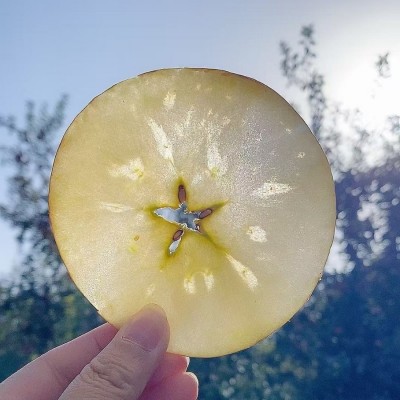 新疆阿克苏冰糖心苹果产地直发新鲜水果现摘现发整箱批发顺丰包邮图4