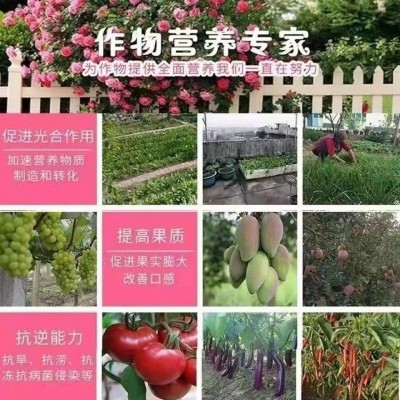 尿素批发农用化肥钾肥磷肥氮肥复合肥有机肥厂家直销瓜果蔬菜图5