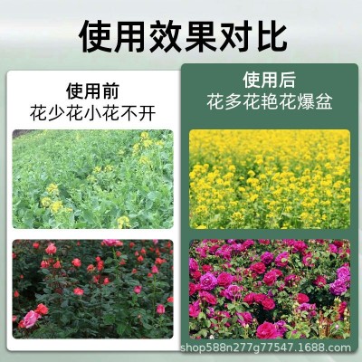 厂家庭园艺缓释肥通用型氮磷钾缓释片室内养花卉盆栽多肉有机批发图4