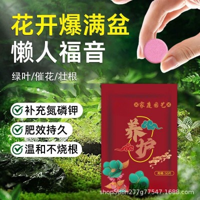 厂家庭园艺缓释肥通用型氮磷钾缓释片室内养花卉盆栽多肉有机批发图3