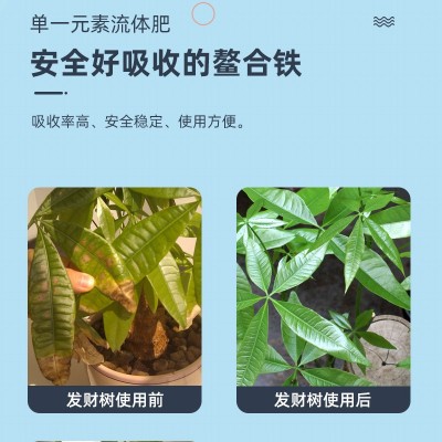 芽动力螯合铁铁肥叶面肥花卉绿植柑橘黄化黄叶白叶病果树补铁花肥图4