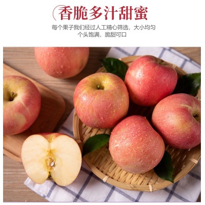 【淡雪条纹】正宗烟台苹果栖霞红富士脆甜新鲜水果整箱产地直发图4