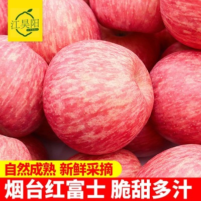 T山东烟台栖霞红富士苹果水果新鲜脆甜多汁当季水果整箱批发图3