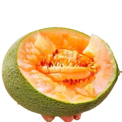 批发山东西州蜜瓜哈密瓜新鲜水果网纹瓜香瓜整箱10斤包邮脆甜5图5