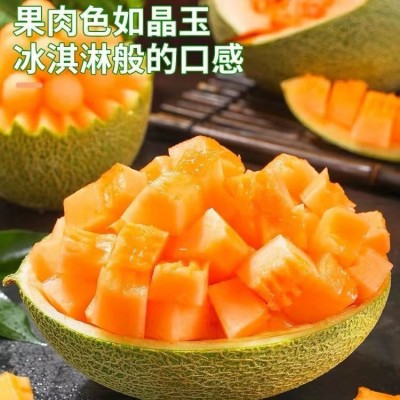 批发山东西州蜜瓜哈密瓜新鲜水果网纹瓜香瓜整箱10斤包邮脆甜5图3