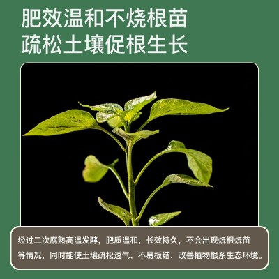 羊粪发酵有机肥花卉蔬菜瓜果纯羊粪种菜养花通用腐熟羊粪肥料批发图3