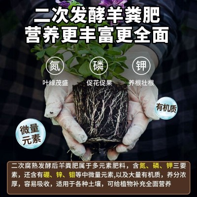 羊粪发酵有机肥花卉蔬菜瓜果纯羊粪种菜养花通用腐熟羊粪肥料批发图2