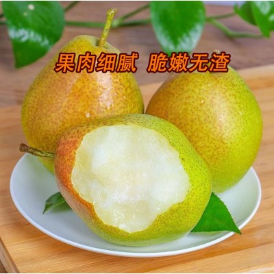 新疆库尔勒香梨 应季水果 新鲜果香 脆甜可口 汁水充足 皮薄肉厚图2