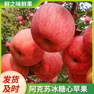 新疆阿克苏冰糖心苹果 新鲜水果冰糖心 整箱发货 家庭装 精品大果图2
